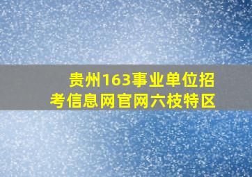 贵州163事业单位招考信息网官网六枝特区