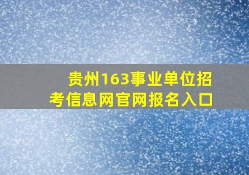 贵州163事业单位招考信息网官网报名入口