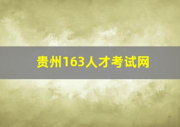 贵州163人才考试网