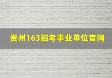 贵州163招考事业单位官网