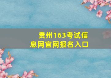 贵州163考试信息网官网报名入口