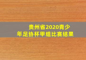 贵州省2020青少年足协杯甲组比赛结果