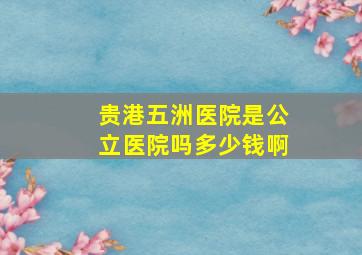 贵港五洲医院是公立医院吗多少钱啊