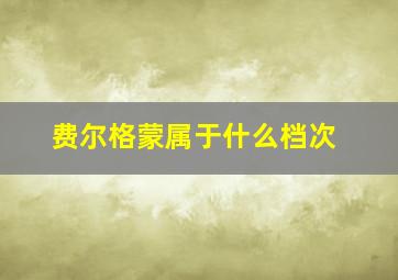 费尔格蒙属于什么档次