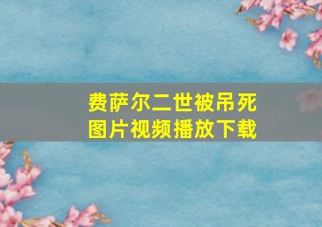 费萨尔二世被吊死图片视频播放下载