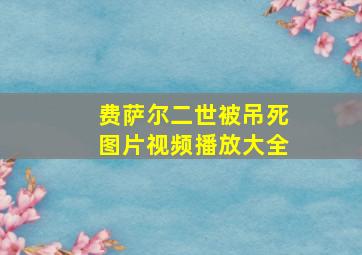 费萨尔二世被吊死图片视频播放大全