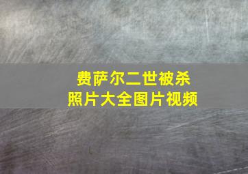 费萨尔二世被杀照片大全图片视频