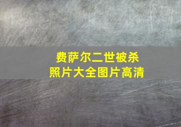 费萨尔二世被杀照片大全图片高清