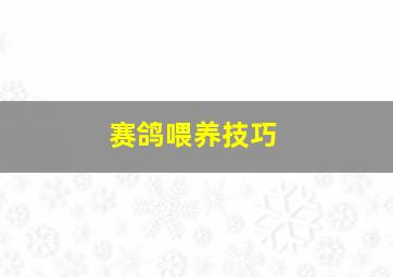 赛鸽喂养技巧