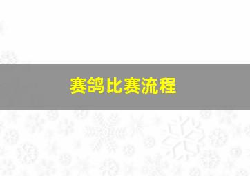 赛鸽比赛流程