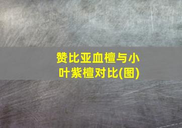 赞比亚血檀与小叶紫檀对比(图)