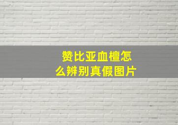 赞比亚血檀怎么辨别真假图片