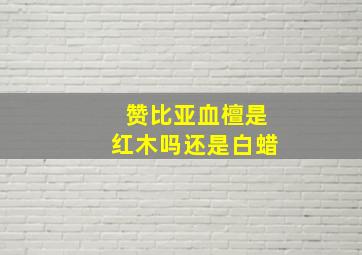 赞比亚血檀是红木吗还是白蜡