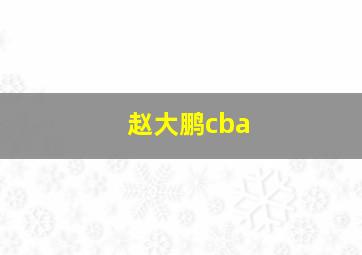 赵大鹏cba