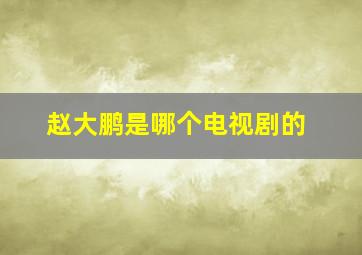 赵大鹏是哪个电视剧的