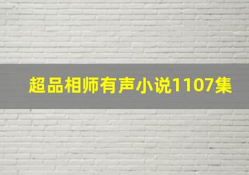 超品相师有声小说1107集