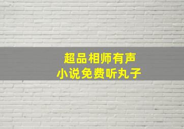 超品相师有声小说免费听丸子