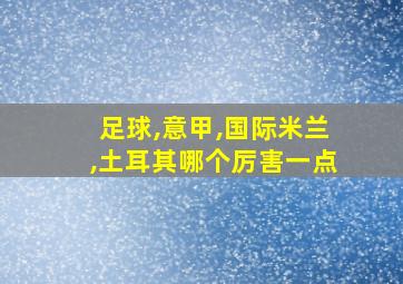 足球,意甲,国际米兰,土耳其哪个厉害一点