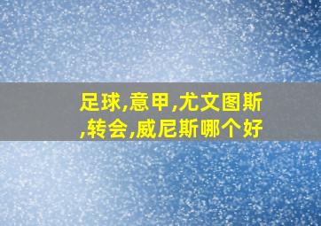 足球,意甲,尤文图斯,转会,威尼斯哪个好