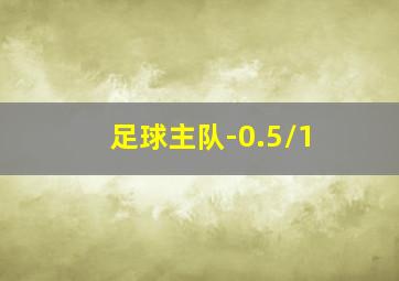 足球主队-0.5/1