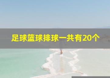 足球篮球排球一共有20个