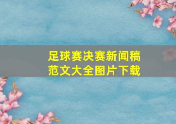 足球赛决赛新闻稿范文大全图片下载