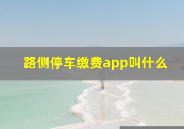 路侧停车缴费app叫什么