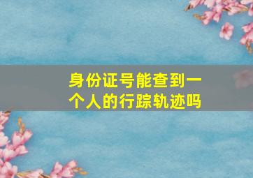 身份证号能查到一个人的行踪轨迹吗