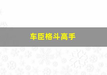 车臣格斗高手