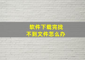 软件下载完找不到文件怎么办