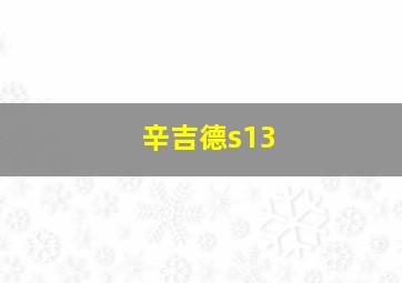 辛吉德s13