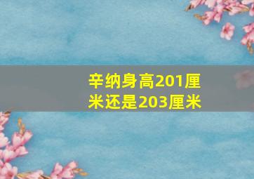 辛纳身高201厘米还是203厘米