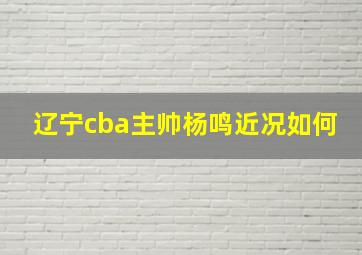 辽宁cba主帅杨鸣近况如何