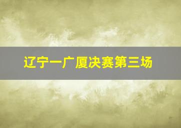 辽宁一广厦决赛第三场