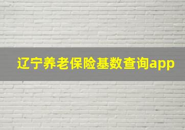 辽宁养老保险基数查询app