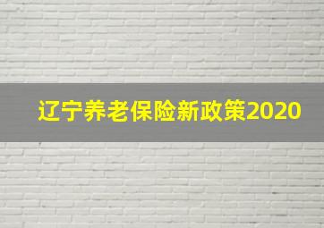 辽宁养老保险新政策2020