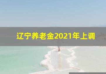 辽宁养老金2021年上调