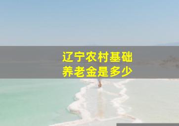 辽宁农村基础养老金是多少