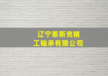 辽宁恩斯克精工轴承有限公司