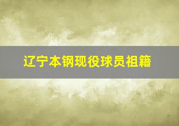 辽宁本钢现役球员祖籍