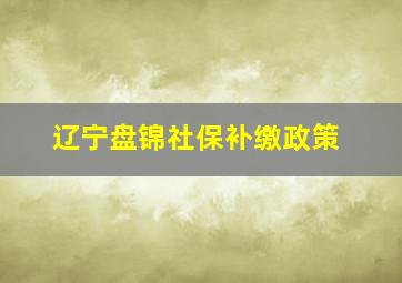 辽宁盘锦社保补缴政策