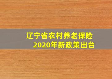 辽宁省农村养老保险2020年新政策出台