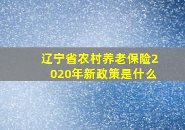 辽宁省农村养老保险2020年新政策是什么