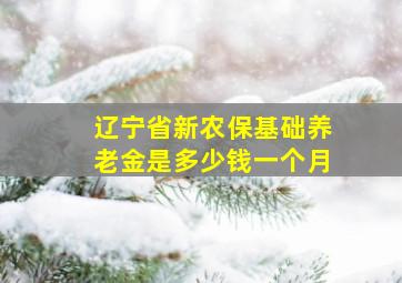 辽宁省新农保基础养老金是多少钱一个月