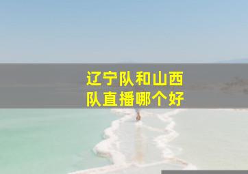 辽宁队和山西队直播哪个好