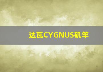 达瓦CYGNUS矶竿