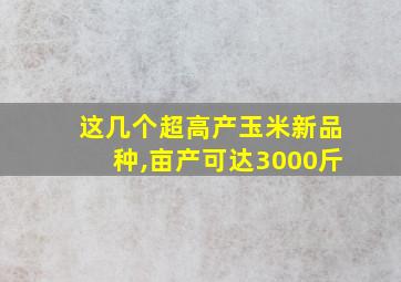 这几个超高产玉米新品种,亩产可达3000斤