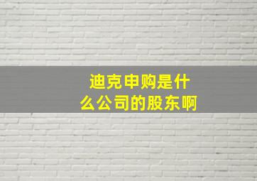 迪克申购是什么公司的股东啊