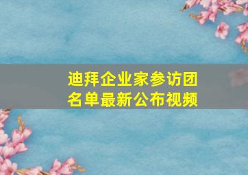 迪拜企业家参访团名单最新公布视频