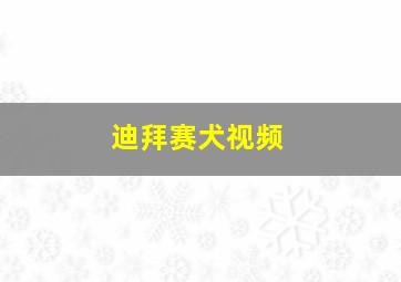 迪拜赛犬视频